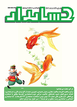ماهنامه حسابدار شماره ۳۶۱